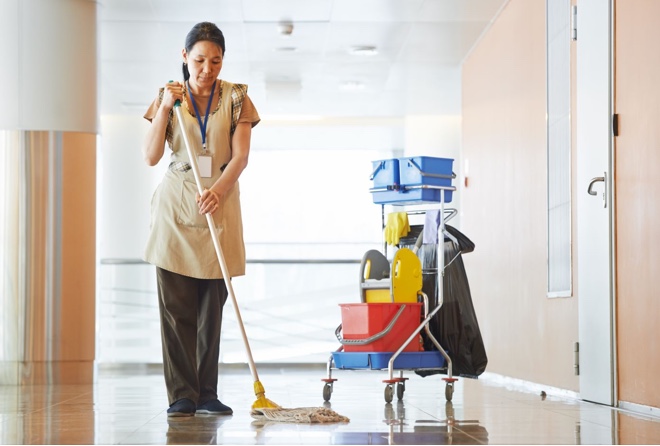 carpet cleaners auckland upholstery cleaning franklin district